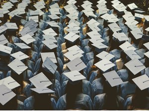 Higher Education Goes Lower