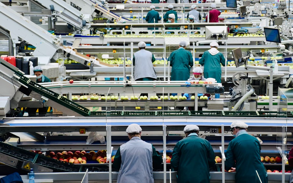 "We're On Our Own" Changes the Food Market