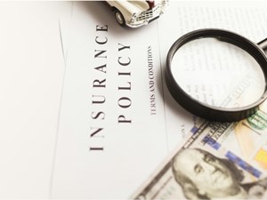 Elimination Of Safety Nets In An "Era Of Limits"