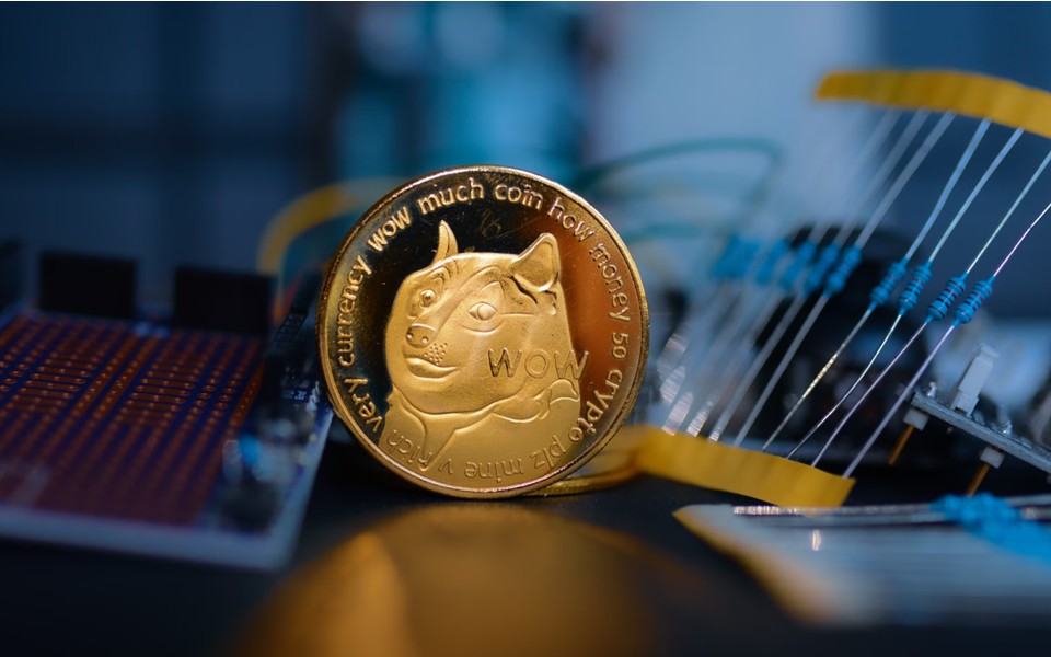 Not Just The Trump Trade: Crypto, Meme Coins And The Gaming Mindset